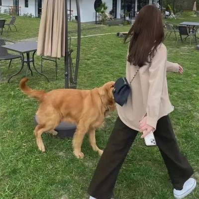 身处困境